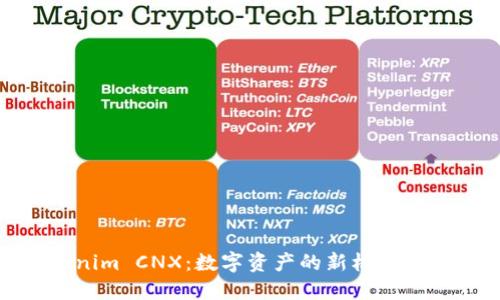 Tokenim CNX：数字资产的新机遇与挑战
