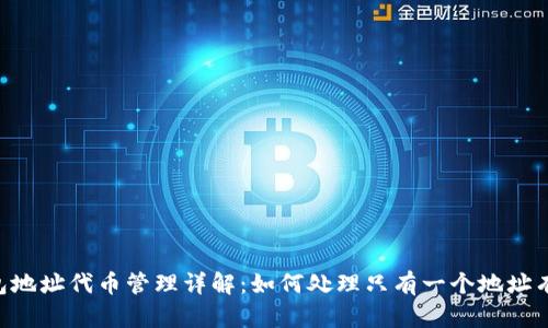 Tokenim钱包地址代币管理详解：如何处理只有一个地址有代币的情况