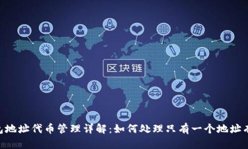 Tokenim钱包地址代币管理详解：如何处理只有一个地址有代币的情况