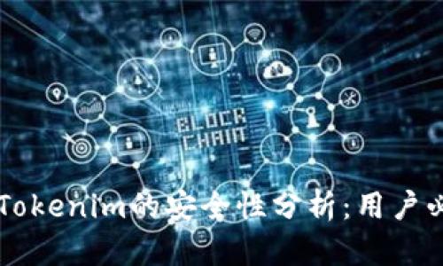 PP下载Tokenim的安全性分析：用户必看指南