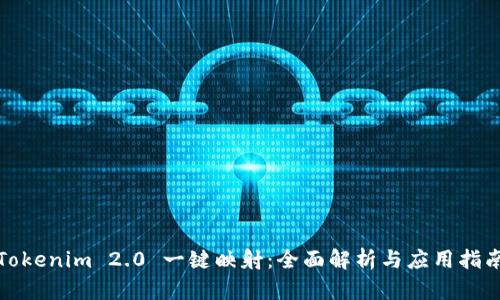 Tokenim 2.0 一键映射：全面解析与应用指南