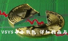 如何安全下载VSYS币冷钱包：详细指南与常见问题