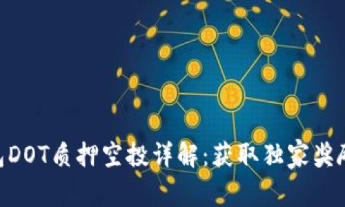 Tokenim钱包DOT质押空投详解：获取独家奖励的最佳指南