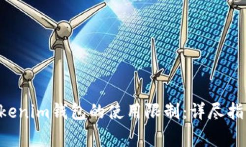 如何解决Tokentokenim钱包的使用限制：详尽指南与常见问题解答