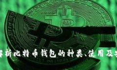 全面解析比特币钱包的种类、使用及安全性
