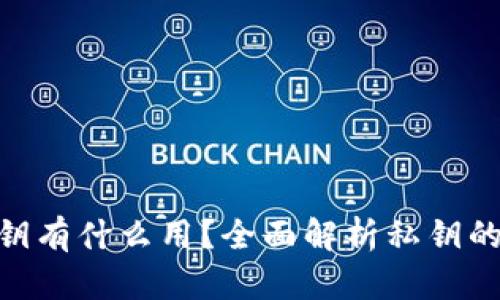 Tokenim的私钥有什么用？全面解析私钥的重要性与应用
