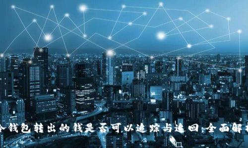 冷钱包转出的钱是否可以追踪与追回：全面解析