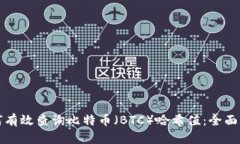 如何有效查询比特币（BTC）哈希值：全面指南
