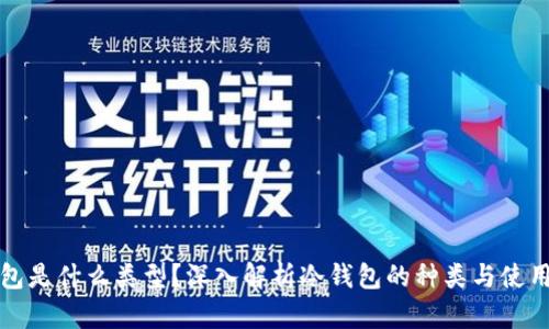 冷钱包是什么类型？深入解析冷钱包的种类与使用场景