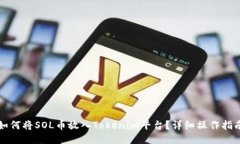 如何将SOL币放入Tokenim平台？详细操作指南