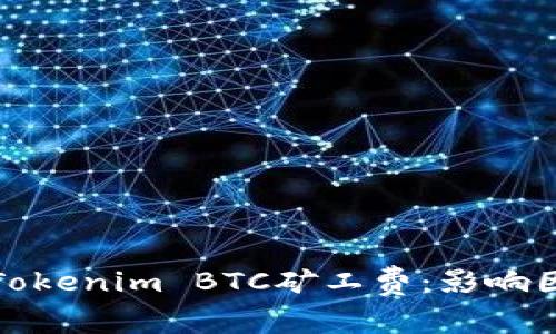 深入探讨Tokenim BTC矿工费：影响因素及策略