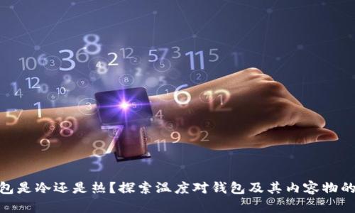 : 钱包是冷还是热？探索温度对钱包及其内容物的影响
