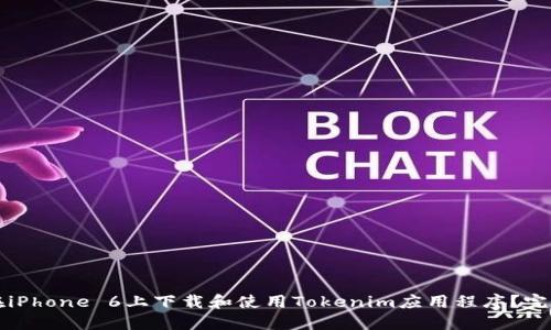 如何在iPhone 6上下载和使用Tokenim应用程序？完整指南