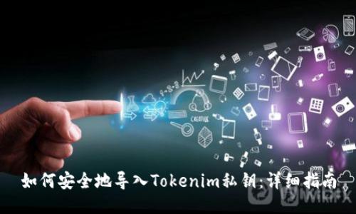 如何安全地导入Tokenim私钥：详细指南