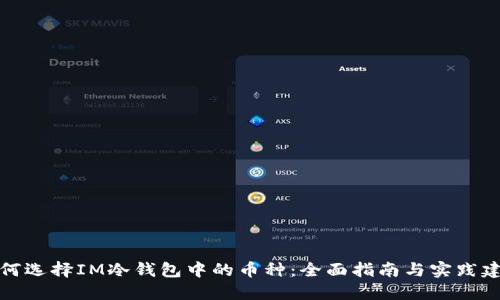 如何选择IM冷钱包中的币种：全面指南与实践建议