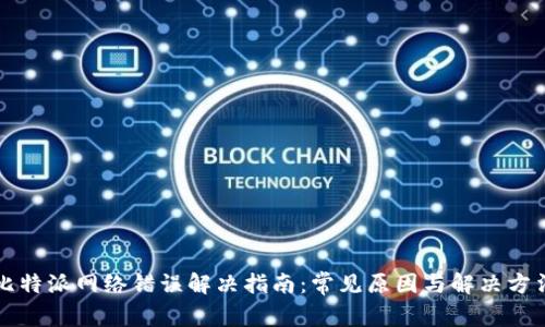 比特派网络错误解决指南：常见原因与解决方法