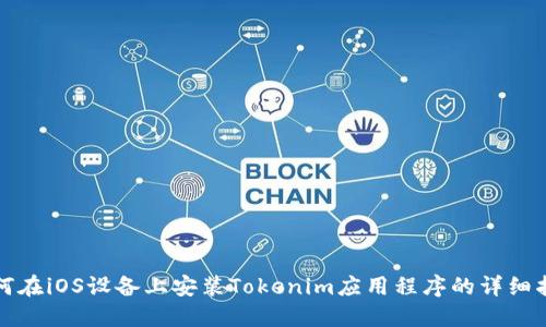 如何在iOS设备上安装Tokenim应用程序的详细指南