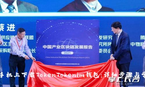 如何在苹果手机上下载TokenTokenim钱包：详细步骤与常见问题解答