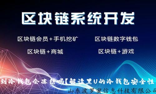 黑U收到冷钱包会冻结吗？解读黑U的冷钱包安全性与风险