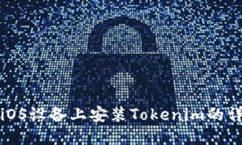 如何在iOS设备上安装Tokenim的详细指南
