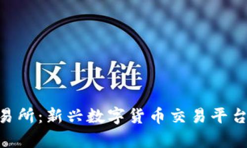 Bitbulls交易所：新兴数字货币交易平台的全面解析