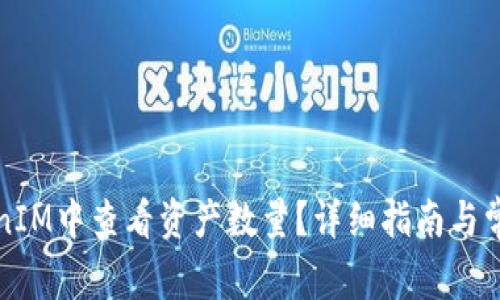 如何在TokenIM中查看资产数量？详细指南与常见问题解答