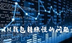 如何解决TokenTokenIM钱包转账慢的问题：全面分析
