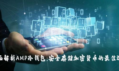 全面解析AMP冷钱包：安全存储加密货币的最佳选择