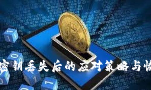 冷钱包密钥丢失后的应对策略与恢复方法