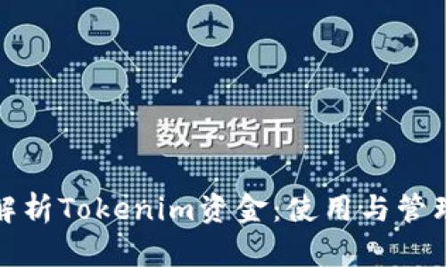全面解析Tokenim资金：使用与管理策略