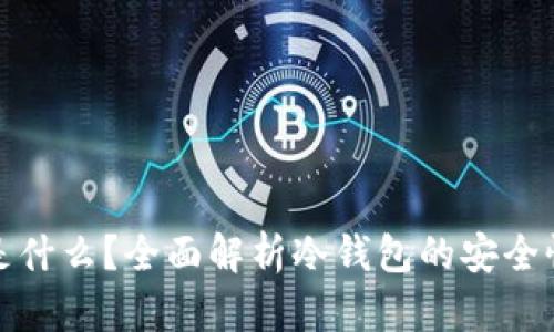 冷钱包存的是什么？全面解析冷钱包的安全性与使用场景