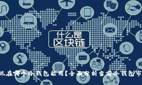 思考的 现在哪个冷钱包能用？全面分析当前冷钱包市场及推荐