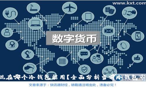 思考的 现在哪个冷钱包能用？全面分析当前冷钱包市场及推荐