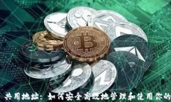 Tokenim 共用地址: 如何安全高效地管理和使用你的