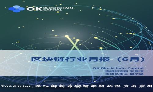 Tokenim：深入解析币安智能链的潜力与应用