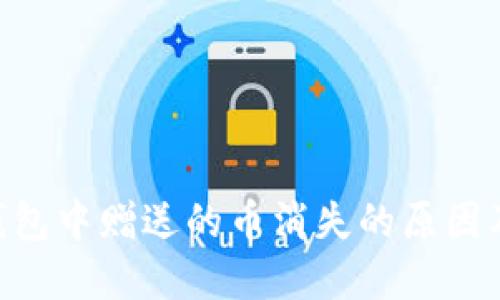 Tokenim钱包中赠送的币消失的原因及解决方案