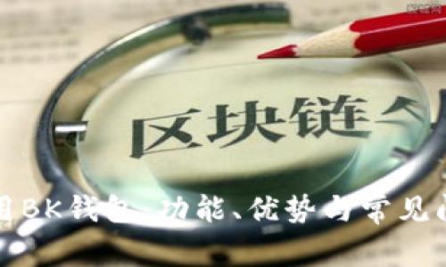 如何使用BK钱包：功能、优势与常见问题解析