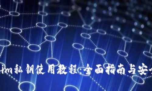 Tokenim私钥使用教程：全面指南与安全策略