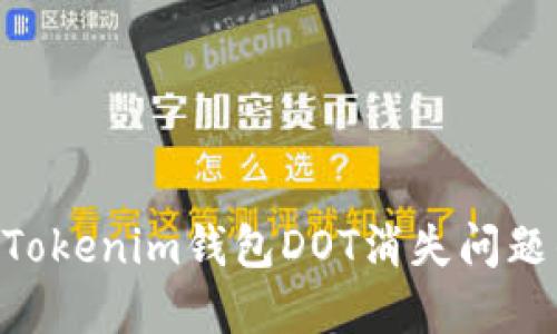 解决TokenTokenim钱包DOT消失问题的详细指南
