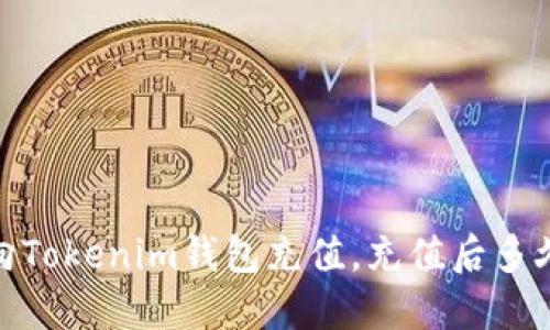 如何向Tokenim钱包充值，充值后多久到账