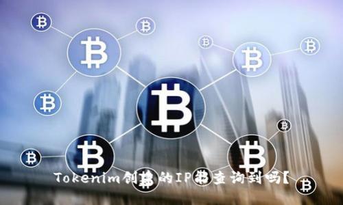Tokenim创建的IP能查询到吗？