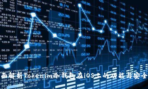全面解析Tokenim冷钱包在iOS上的功能与安全性