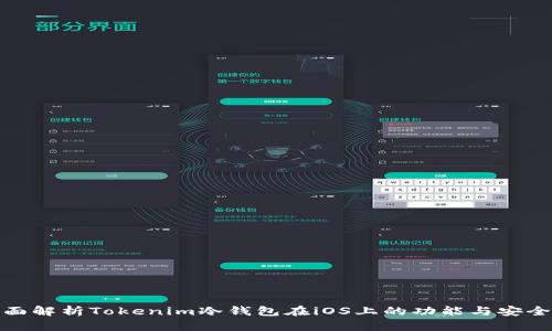 全面解析Tokenim冷钱包在iOS上的功能与安全性