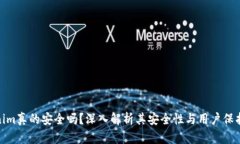Tokenim真的安全吗？深入解析其安全性与用户保护