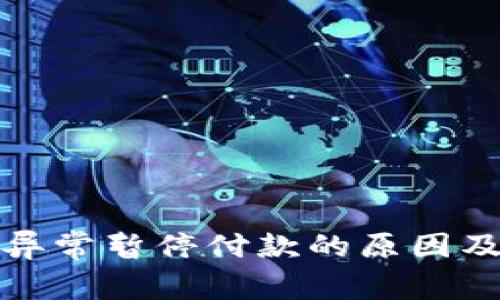 数字钱包异常暂停付款的原因及解决方法