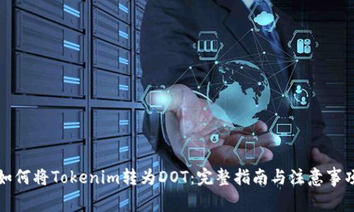 如何将Tokenim转为DOT：完整指南与注意事项