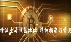 如何在比特派查看钱包地址：详细指南与常见问